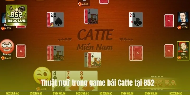 Điểm danh các thuật ngữ trong game bài Catte tại B52.